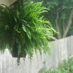 I AM LEAVING POSHMARK